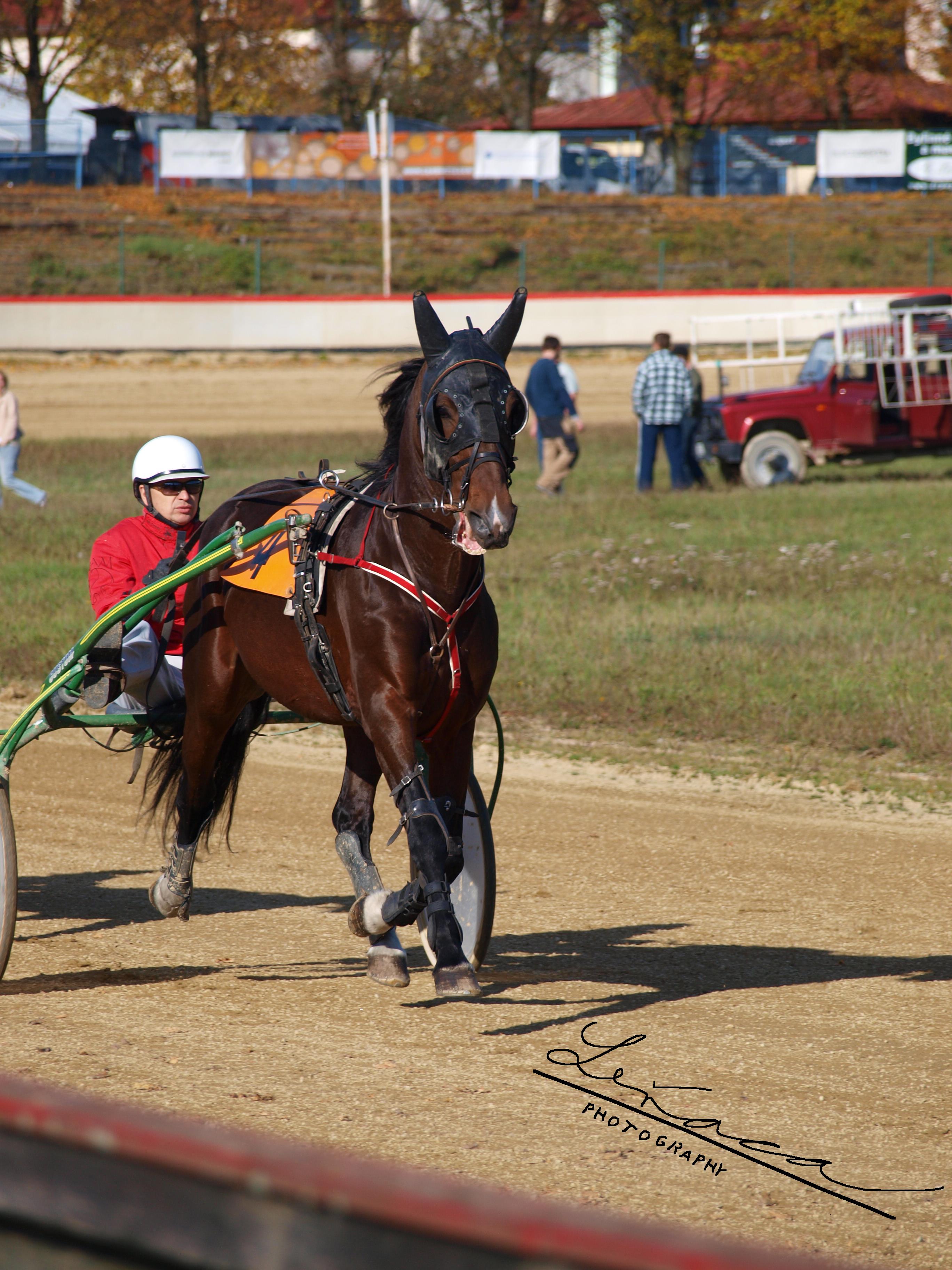 závody19